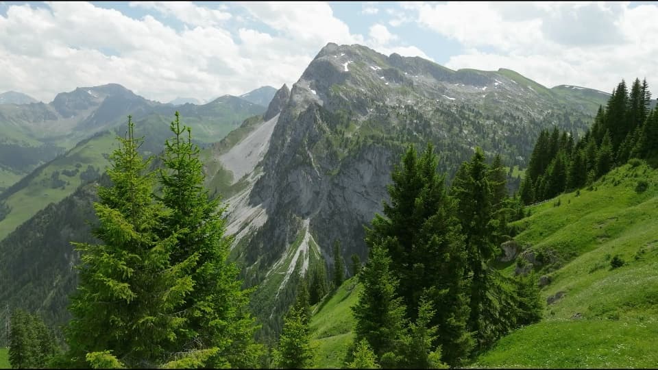 Loading TDF-Banner-v3